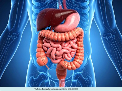 Tổng Hợp Dấu Hiệu Nhận Biết Bệnh Tỳ Vị Thường Gặp Và Cách Điều Trị