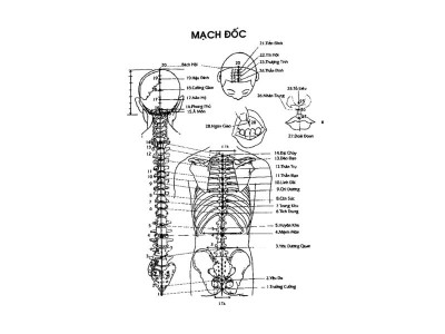 Đốc Mạch