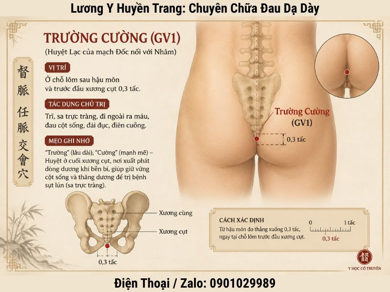 Vị trí và tác dụng chủ trị của huyệt Trường Cường GV1 - Lương y Huyền Trang