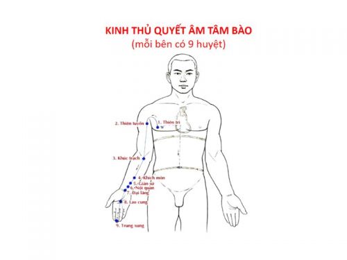 Kinh Thủ Quyết Âm Tâm Bào