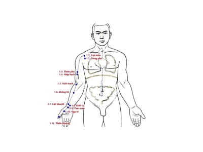 Kinh Thủ Thái Âm Phế