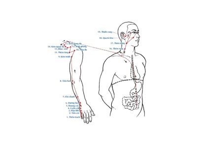 Kinh Thủ Thái Dương Tiểu Trường