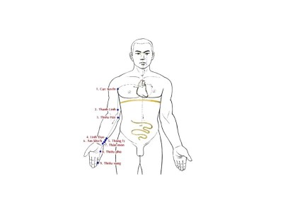 Kinh Thủ Thiếu Âm Tâm