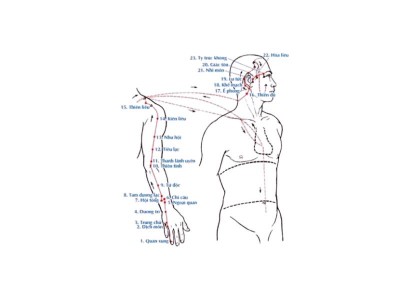 Kinh Thủ Thiếu Dương Tam Tiêu