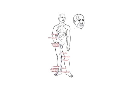 Kinh Túc Quyết Âm Can