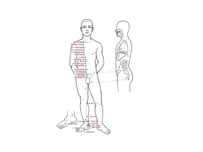 Kinh Túc Thiếu Âm Thận
