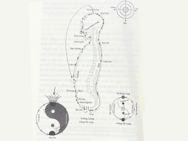 Phép thở thai tức giúp cơ thể khỏe mạnh