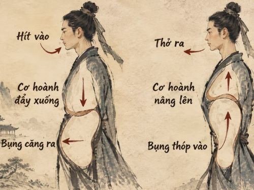Bài Tập Thở Bụng Của Bác Sĩ Nguyễn Khắc Viện