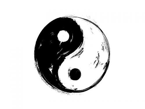 Thận Âm Hư, Thận Dương Hư Là Gì? Dấu Hiệu, Nguyên Nhân Và Cách Điều Hòa