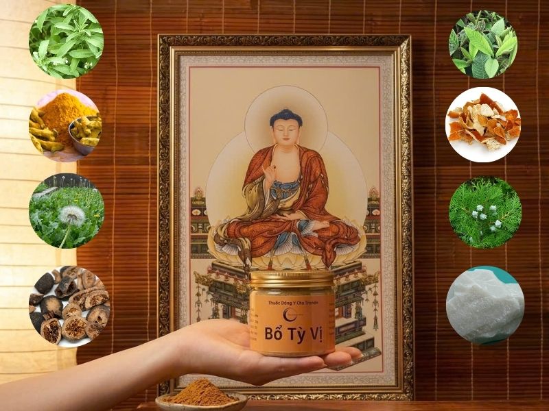 7 vị thảo dược quý trong bài thuốc Hảo Tâm Vị hỗ trợ điều trị đau dạ dày