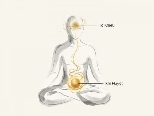 Khí Công Y Đạo: Hiểu Về TINH - KHÍ - THẦN Để Phục Hồi Sức Khỏe Từ Gốc